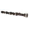 UPC 840793101016 product image for Howards Cams 110822-06 Mechanical Flat Tappet Camshaft | upcitemdb.com