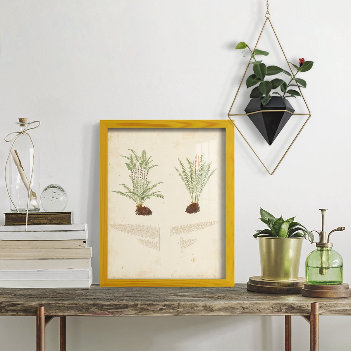 Fern Study III -Framed Print w/glass-Sunflower Yellow