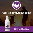 thumbnail image 2 of Solución electrolítica Vet Classics Pet-A-Lyte para perros y gatos, 2 of 6