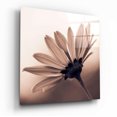 Sepia Backlit Daisy Glass Wall Art - Walmart.com