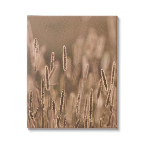 Rural Wheat Field Nature Botanical & Floral Photograph Gallery Wrapped Canvas Print Wall Art