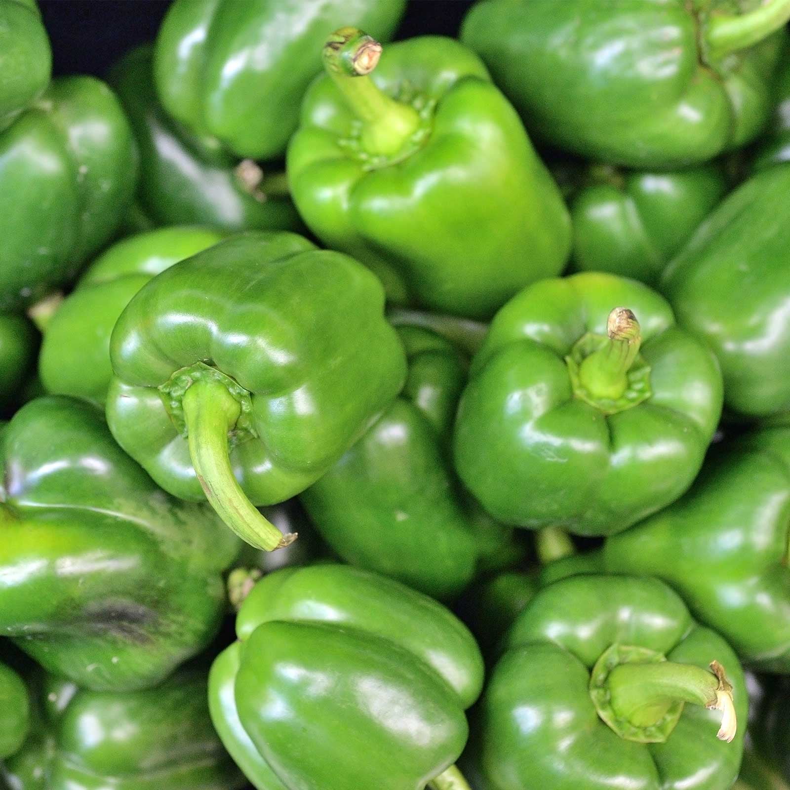 pepper seed riddim zip pepper seed riddim zip