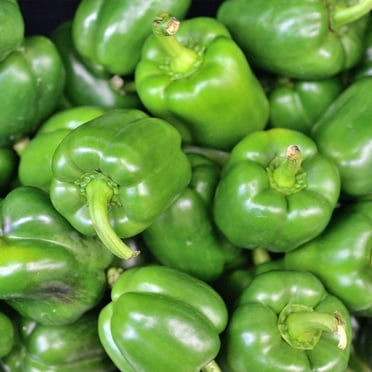 California Wonder 300 TMR Sweet Pepper Garden Seeds - 1 Oz - Non-GMO, Heirloom Vegetable Gardening Seed