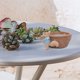 thumbnail image 4 of Squirrel succulent flower pots, Cute resin planter, Desk garden room decor, Small space plant pot, Home office decor, Unique desktop accent, Lightweight resin material, For bedroom styling, 4 of 8