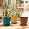 thumbnail image 6 of 6 inch Plant Pots, 5 Pack Flower Pots Outdoor Indoor, Planters with Drainage Holes and Tray Saucers（Multicolor）, 6 of 6