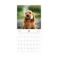 thumbnail image 4 of 2025 Hanging Wall Calendar, Puppies, 12x12 by Blue Sky, 4 of 6