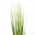thumbnail image 2 of Northlight Artificial Onion Grass Bundle Wrapped with Jute Rope Decoration - 37.75", 2 of 4