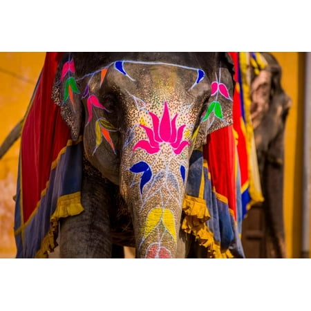 - Painted Elephant, Amer Fort, Jaipur, Rajasthan, India, Asia Print Wall Art By Laura Grier