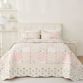 thumbnail image 2 of Evenhug Quilts 2-Piece Decorative Border Pink Patchwork Floral Twin Quilt Set With Shams, 2 of 7