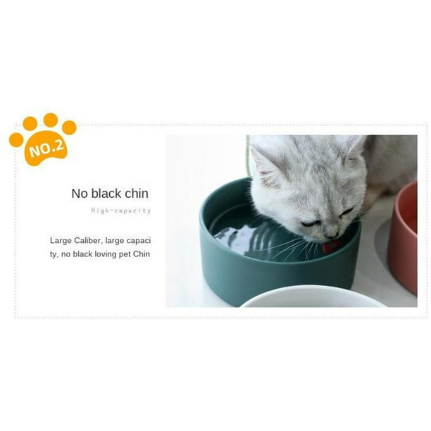 Large cat bowl online