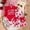 Red, variant on Fesfesfes Baby Valentine Heart Print Lace Dress Set with Bow Headband Long Sleeve Round Neck 3 Piece Outfit for Infant Toddler Cute Holiday Winter Autumn Matching Clothes(Red,6-9 Months)