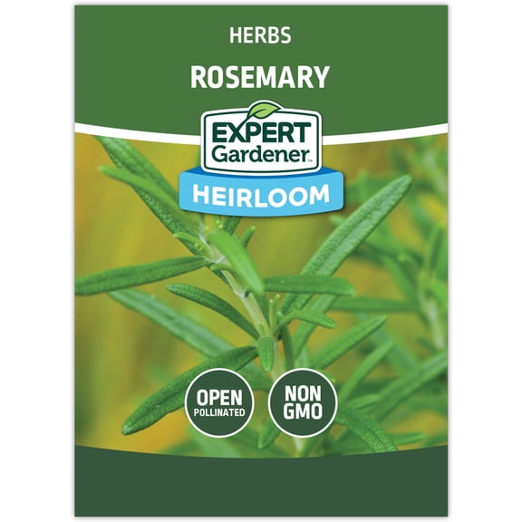 Expert Gardener Rosemary Herb