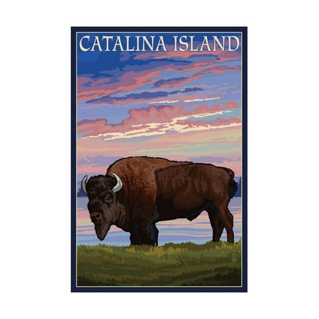 Catalina Island, California - Bison and Sunset Print Wall Art By Lantern