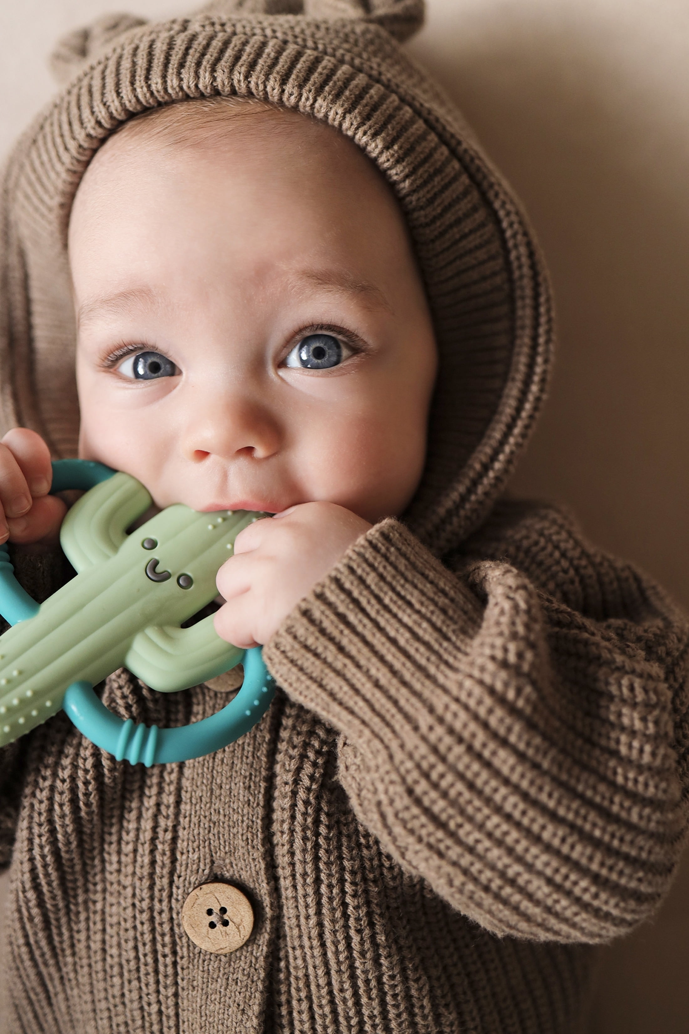 Chew Crew Cactus Teether