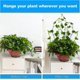 thumbnail image 5 of Plant Holder, Plant Climbing Wall Clamp, Green Vine Clip For Garden Wire For Climbing Plants (100 Pieces Green), 5 of 5