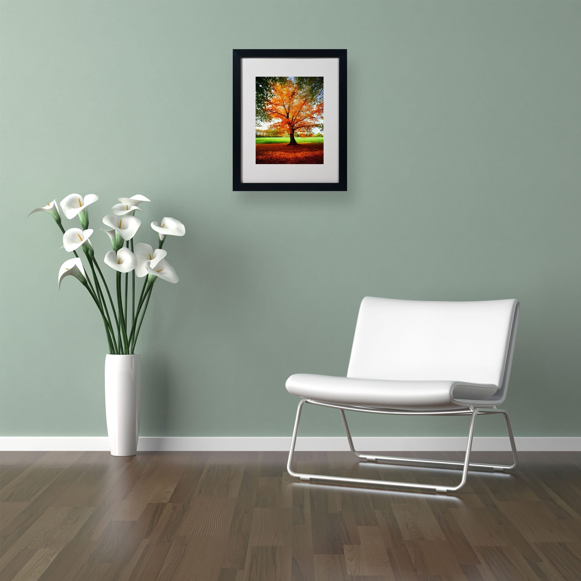 Trademark Fine Art "Tout Feu" Canvas Art by Philippe Sainte-Laudy, Black Frame