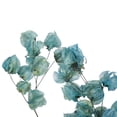 thumbnail image 7 of Vickerman 13.5-17" Light Blue Dried Cara Blossom Bundle, Preserved., 7 of 7