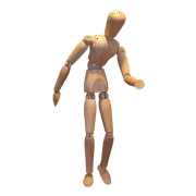 Tree Body Model Wooden Doll Doll Set-20 Inch By 30 Inch Laminated Poster With Bright Colors And Vivid Imagery-Fits Perfectly In Many Attractive Frames