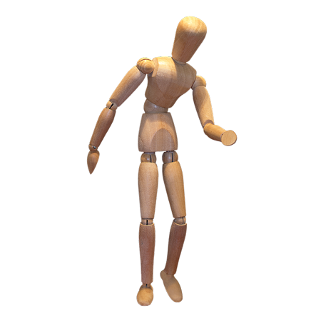 Tree Body Model Wooden Doll Doll Set-20 Inch By 30 Inch Laminated Poster With Bright Colors And Vivid Imagery-Fits Perfectly In Many Attractive Frames