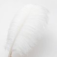 thumbnail image 3 of 24 Uds plumas de avestruz color champán a granel plumas bohemias de 10-12 pulgadas para jarrón y decoración del hogar centros de mesa para fiesta de boda, 3 of 4