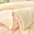 thumbnail image 5 of 2 Piece Sherpa Fleece Bed Blanket Twin,Thick Warm Baby Borrego Blanket With Pillow Case, 5 of 5