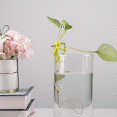 thumbnail image 2 of Plant Cutting Holder, Plant Propagation Buddy, Plant Clippings Holder, Leaf Buddy Plant Support, Plant Propagation Friends, Plant Buddy Holder Little-, 2 of 5