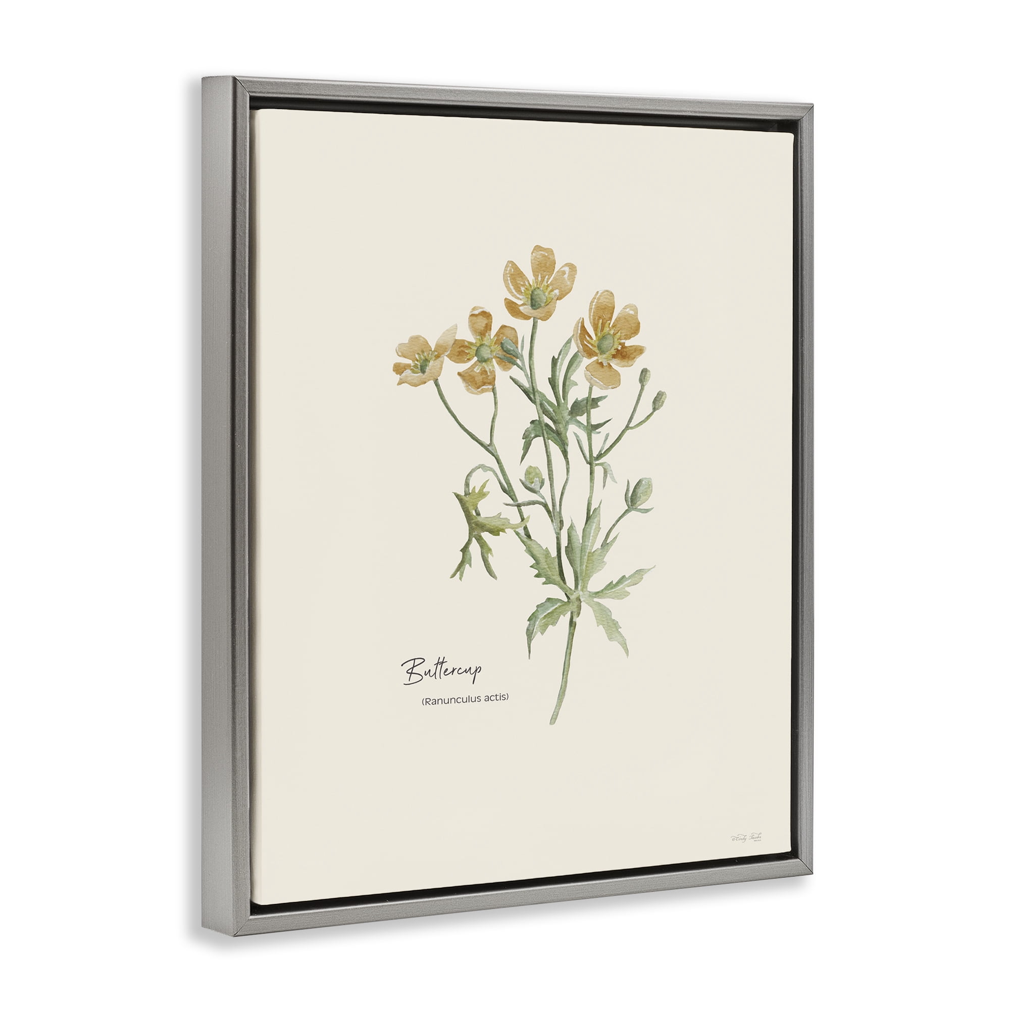 Stupell Industries Simple Buttercup Flowers Botanical & Floral Painting Gray Floater Framed Art Print Wall Art, 25 x 31