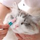 thumbnail image 2 of Cat Eye Brush Soft Head Buckle Design Handheld Head Eye Comb Brush for pets, 2 of 5