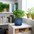 thumbnail image 2 of Plant Pot 5 Inch - Ceramic Planter for Indoor Plants Outdoor, Succulent Orchid Pot with Drainage Hole and Saucer, Round Flower Pot for Home Decor, Blue, 2 of 14