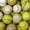Softball Collection, variant on Elephant Stock Softball Collection Wall Art - Horizontal Canvas Wall Art - Living Room Wall Decor - Sports Canvas - Beige And Yellow Decor - 12" x 8"