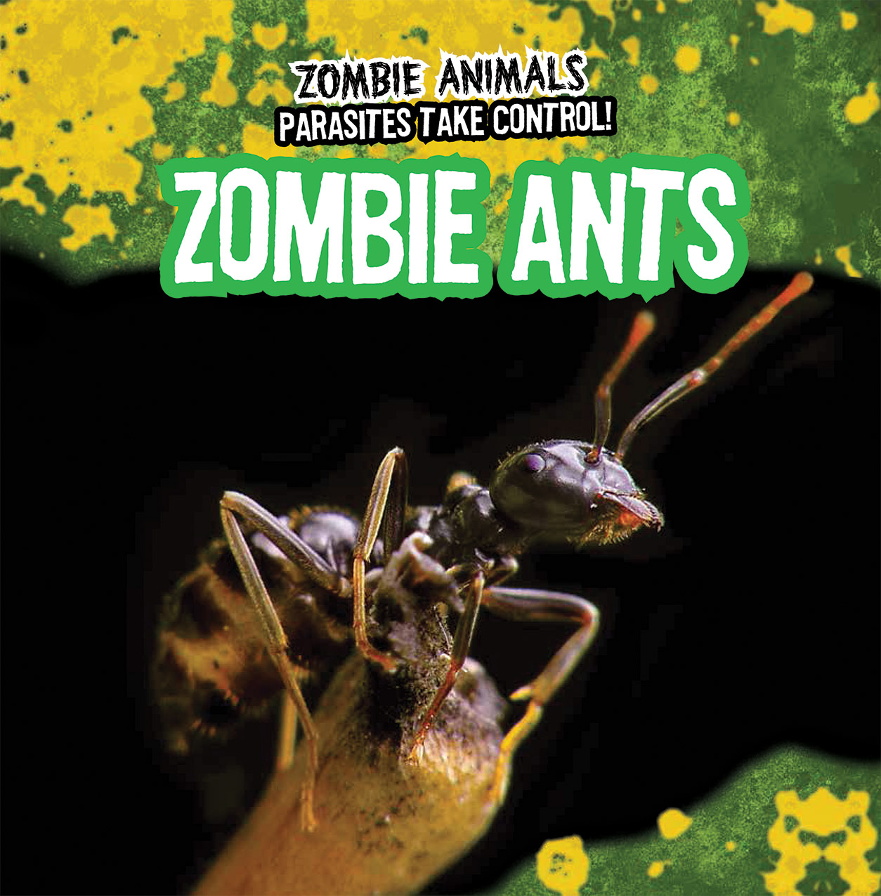 Zombie Animals Parasites Take Control Zombie Ants Paperback