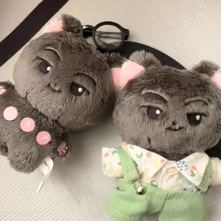 Kpop Idol ENHYPEN Jay American Cat Doll Keyring Plush Dolls