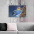 thumbnail image 6 of Luxe Metal Art 'Powder Blue Tang' by Durwood Coffey, Metal Wall Art, 36"x24", 6 of 9