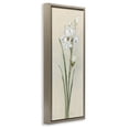thumbnail image 3 of Stupell Industries Traditional Simple Iris on Beige Brown Floating Frame Canvas Art, 11 x 25, by Sally Swatland, 3 of 8