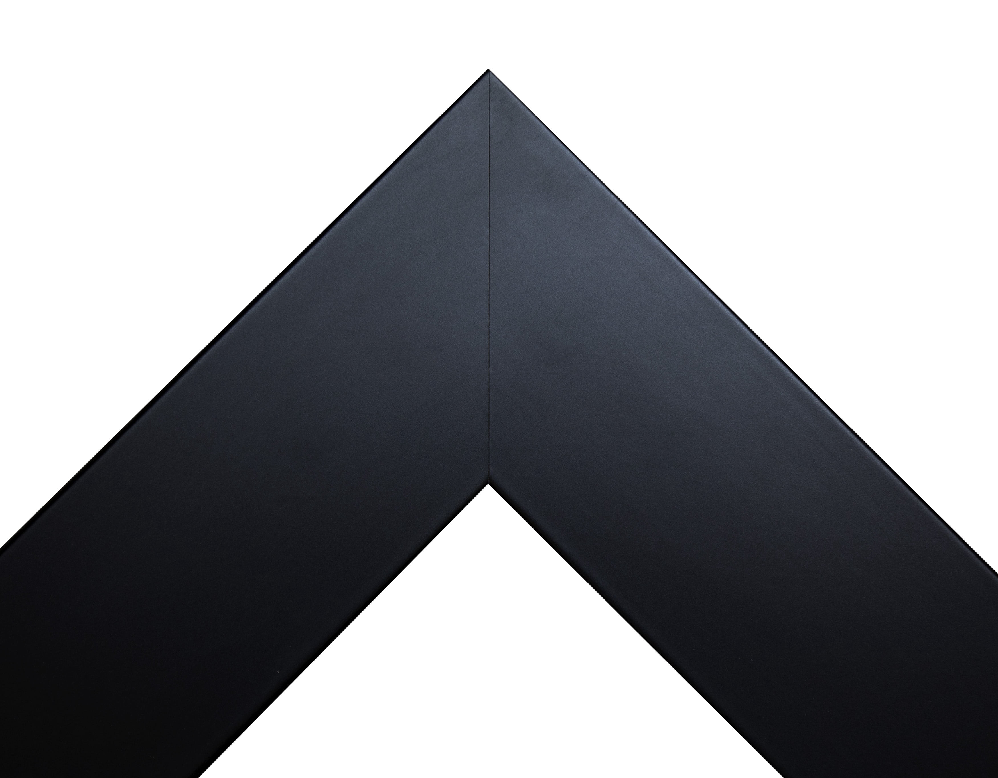 Rayne Beveled Full Length Wall Mirror 65.5"x32" Floor Mirror Matte Black