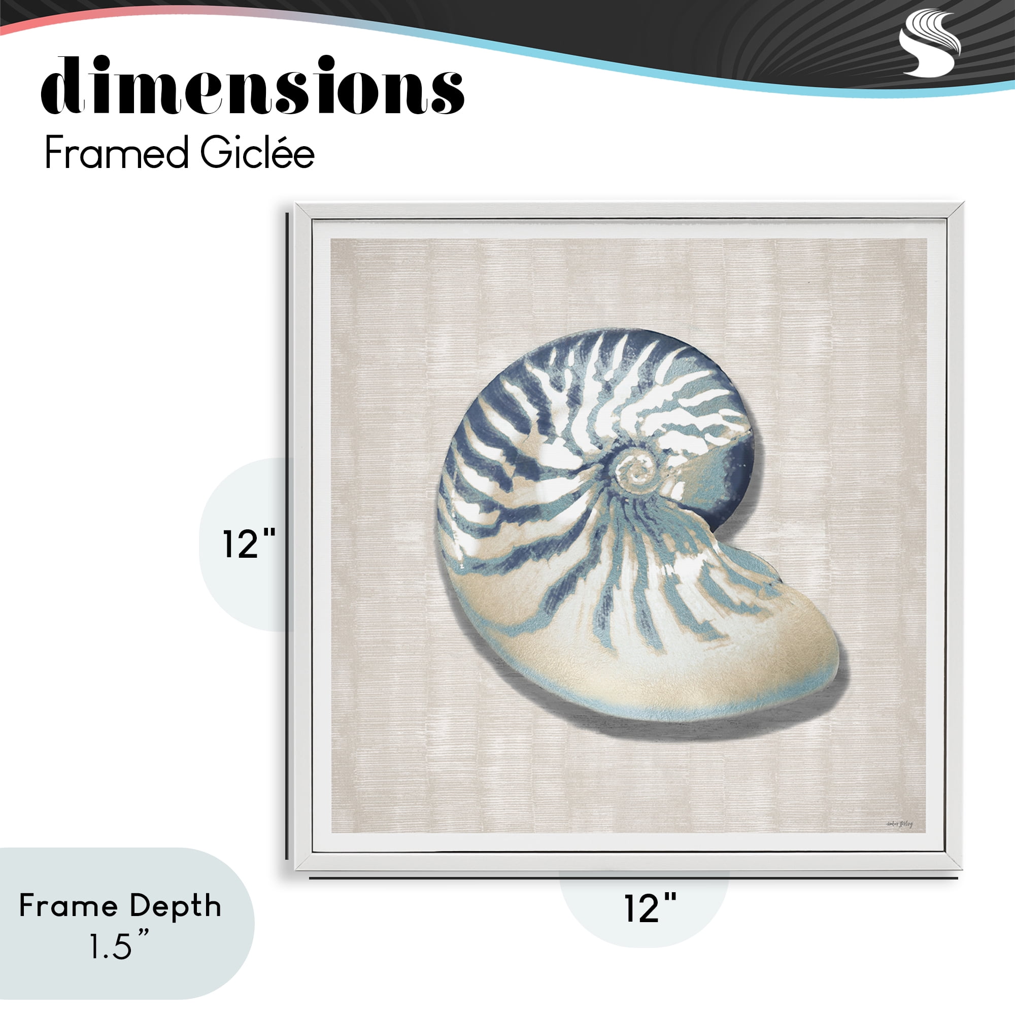 Stupell Industries Nautilus Shell in Misty Blue White Framed Giclee Art, design by Amber Sterling