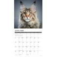 thumbnail image 3 of Maine Coon Cats 2026 12 X 12 Wall Calendar, (Hardcover), 3 of 5