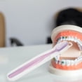 thumbnail image 2 of OULII 10Pcs Plastic Toothbrush Box with Buckle Design for Home and Bathroom, 2 of 8