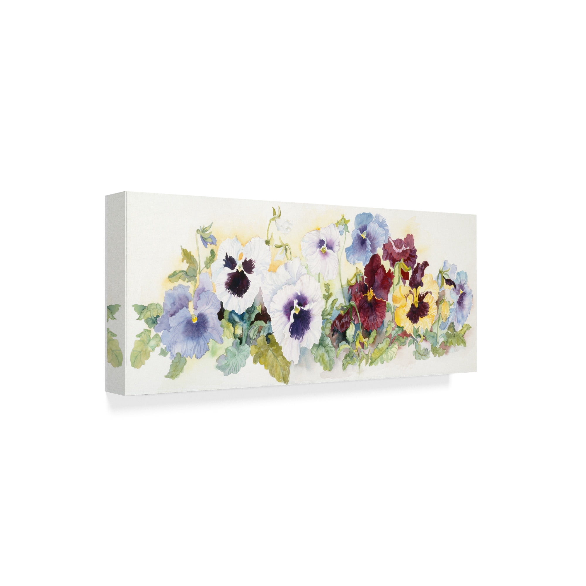 Trademark Fine Art 'Pansies On Parade' Canvas Art by Joanne Porter