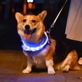 thumbnail image 2 of Collar para perro con luz LED, de visibilidad, más brillante para seguridad nocturna, luz para collar de perro impermeable recargable por USB, 2 of 5