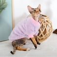 thumbnail image 3 of HQREA Sphynx Hairless Cat Sweater Solid Soft Sweater Outfit Pullover Autumn WinterThickened Sphynx Clothes Cat Apparel, 3 of 6