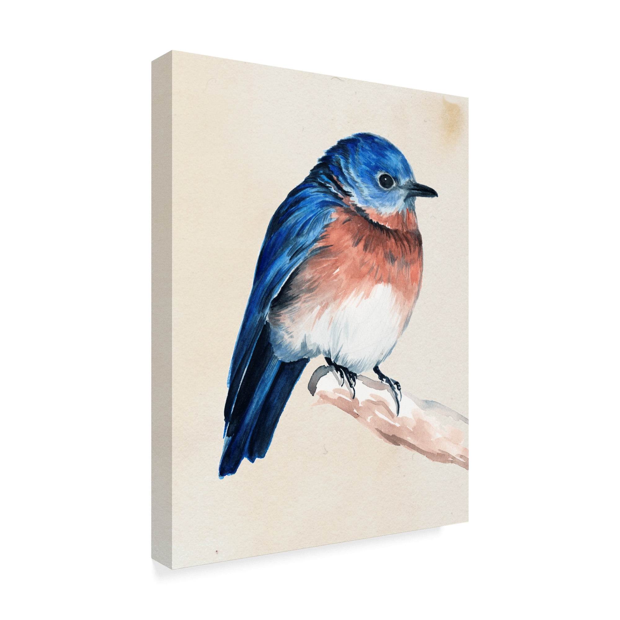 Trademark Fine Art 'Little Bird on Branch I' Canvas Art by Jennifer Paxton Parker