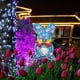 thumbnail image 5 of Decoraciones de Pascua, insertos iluminados para patio de Pascua, insertos decorativos de acrílico para piso, decoraciones de patio al aire libre con luces, luces LED decorativas de Pascua artificiale, 5 of 7