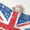 thumbnail image 7 of Flannel Throw Dog Blanket Retro Union-Jack Flag Soft Warm Print Pet Blankets for Small Dog Cat Puppy, 7 of 7