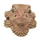 thumbnail image 5 of Máscara de cabeza de animal,Máscara de cabeza de animal,Accesorios de látex,Disfraz realista de cosplay,Máscara de disfraces para Halloween, 5 of 8
