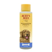 Burt's Bees Itch Soothing Shampoo with Honeysuckle for Dogs, 16 oz.