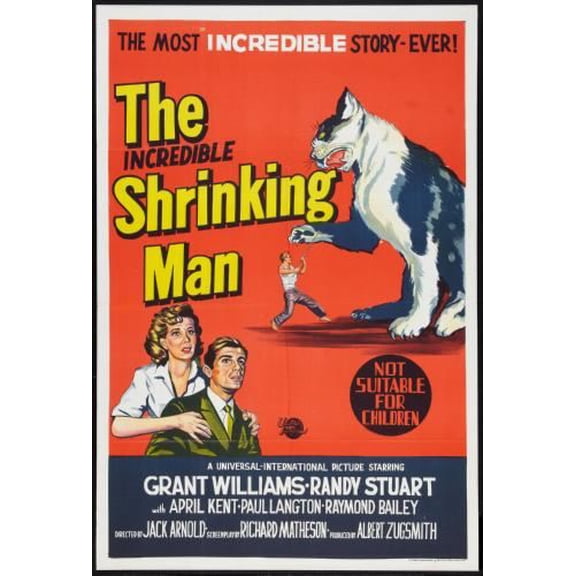 Incredible Shrinking Man Movie Poster Reprint Art decor 27inx40in 27x40 Square Adults Western Graphic