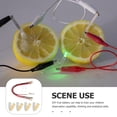 thumbnail image 2 of SHISUYAN 1 Set Scientific Experiment Fruit Battery Student DIY Fruit Battery for School, 2 of 5