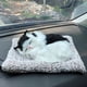 thumbnail image 1 of Fiudx Liquidación De Ahorros De Verano Simulación De Animales De Peluche, Juguete Que Llamará Con Alfombra De Tela Para Dormir, Muñeco De Peluche, Regalos Para Niños, 1 of 3