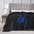 thumbnail image 4 of Widener University Ultra-Soft Micro Fleece Blanket Multi-Size Flannel Blanket, 4 of 7